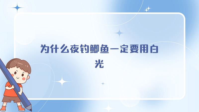 为什么夜钓鲫鱼一定要用白光