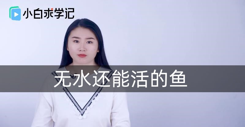 无水还能活的鱼